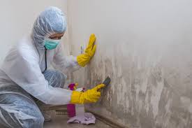 Mold Remediation for Vacation Homes in Hemphill, TX